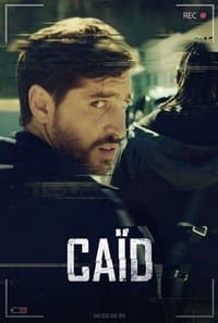 Cover of Dealer