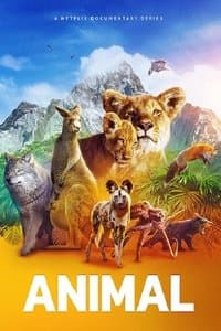 Cover of Animal