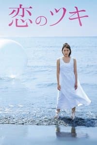 Cover of Love and Fortune