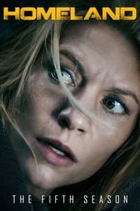 Cover of the Season 5 of Homeland