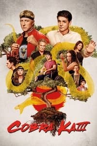 Cover of the Season 3 of Cobra Kai