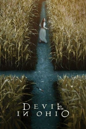 Banner of Devil in Ohio