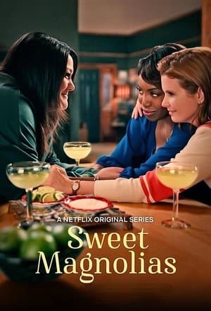 Banner of Sweet Magnolias