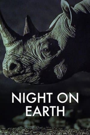 Banner of Night on Earth