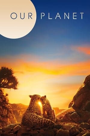 Banner of Our Planet