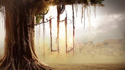 Banner of House of Secrets: The Burari Deaths