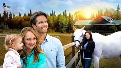 Banner of Heartland
