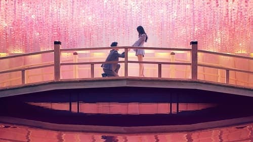 Promotional cover of Love Is Blind: Japan
