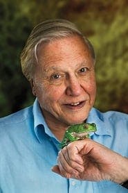 Profile picture of David Attenborough who plays Self - Narrator