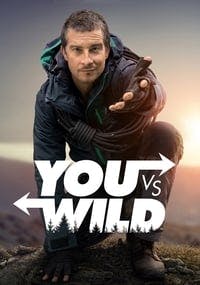 Cover of You vs. Wild