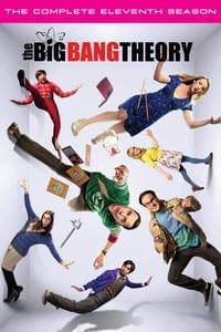 Cover of the Season 11 of The Big Bang Theory