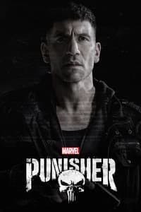 Cover of Marvel's The Punisher