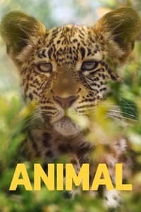 Cover of the Season 2 of Animal