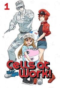 Cover of the Season 1 of Cells at Work!