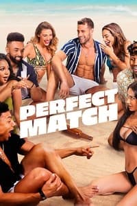 Cover of the Season 1 of Perfect Match