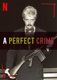 Cover of A Perfect Crime