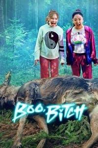 Cover of the Season 1 of Boo, Bitch