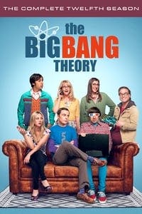 Cover of the Season 12 of The Big Bang Theory