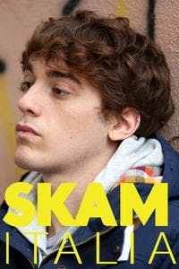 Cover of the Season 2 of SKAM Italy