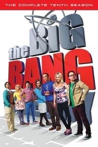 Cover of the Season 10 of The Big Bang Theory