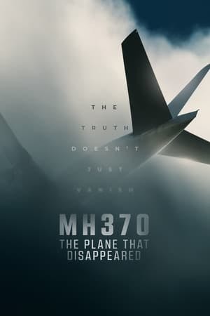 Banner of MH370: The Plane That Disappeared