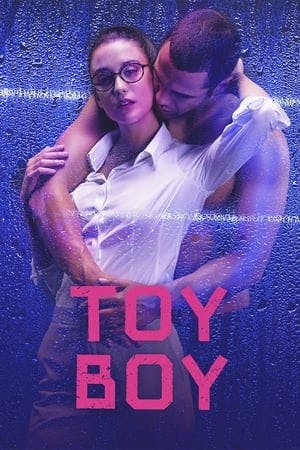 Banner of Toy Boy