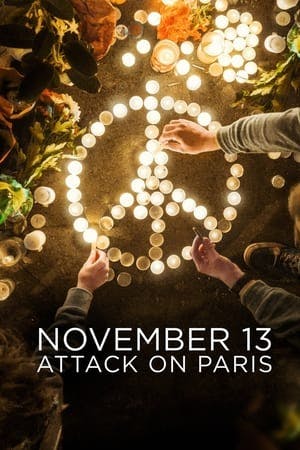 Banner of November 13: Attack on Paris