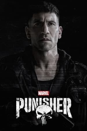 Banner of Marvel's The Punisher