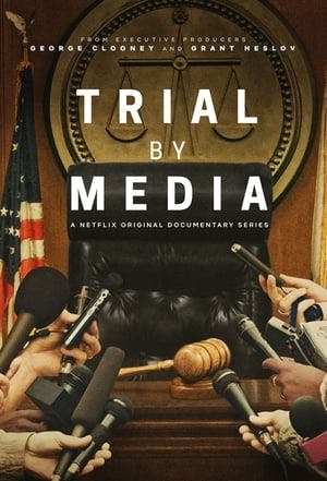 Banner of Trial by Media