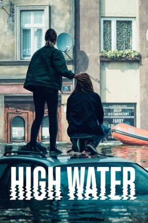 Banner of High Water