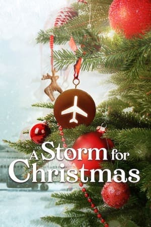 Banner of A Storm for Christmas