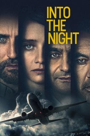 Banner of Into the Night