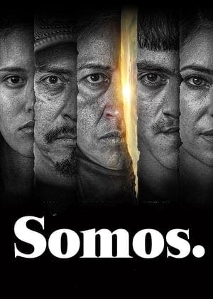 Banner of Somos.