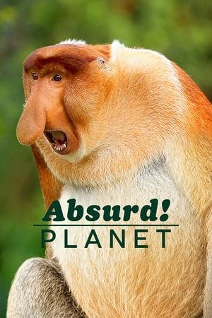 Banner of Absurd Planet