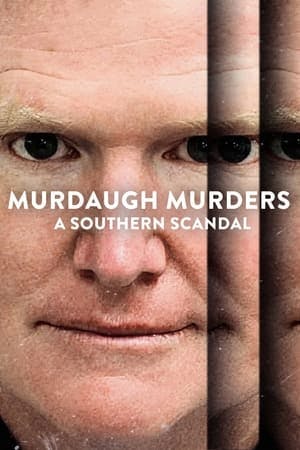 Banner of Murdaugh Murders: A Southern Scandal