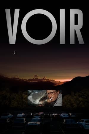 Banner of VOIR