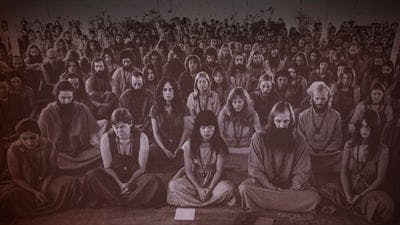 Banner of Wild Wild Country