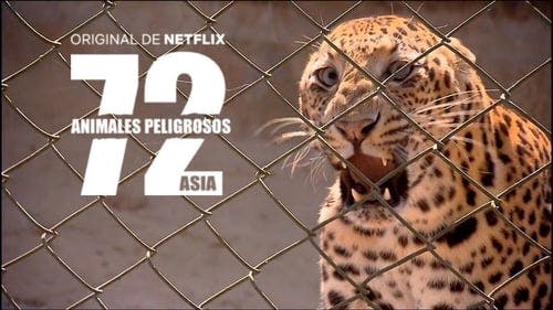 Promotional cover of 72 Dangerous Animals: Asia