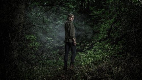 Promotional cover of The Forest