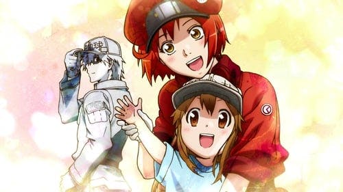 Promotional cover of Cells at Work!