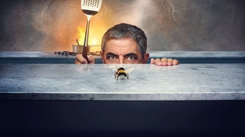 Promotional cover of Man Vs Bee