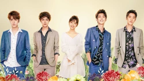Promotional cover of Meteor Garden